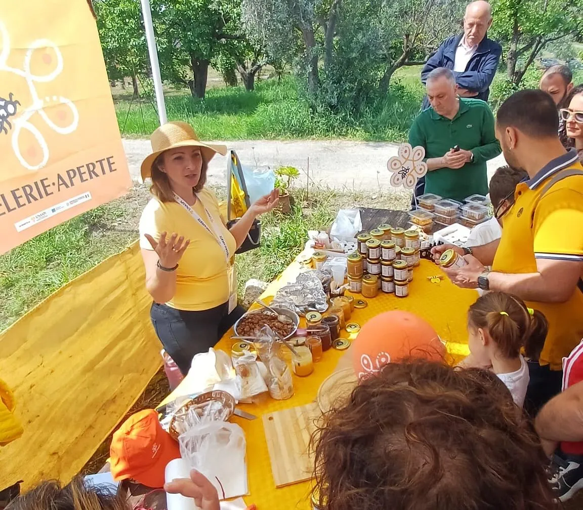 Jars of Agricola Tarantino honey stacked on the yellow stall during Mielerie Aperte