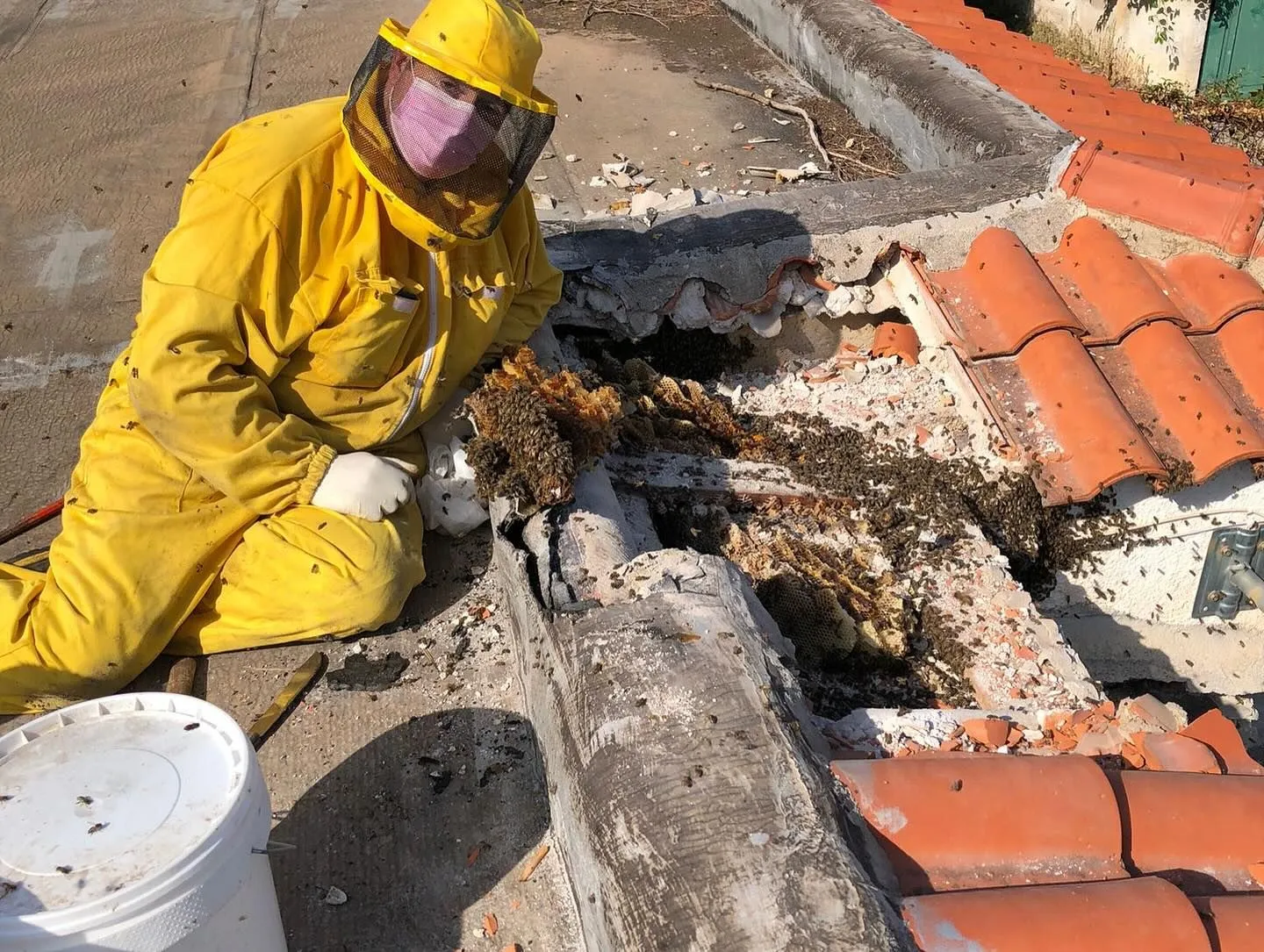 Francesco in his yellow suit next to honeycomb uncovered under the tiles of a roof