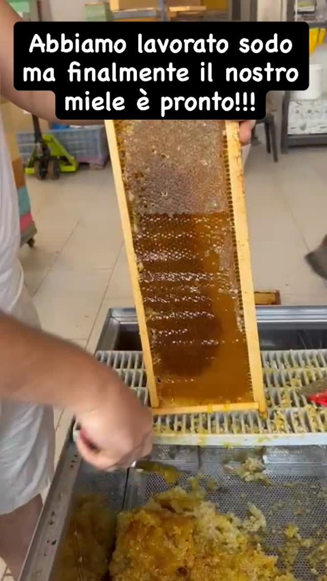 Un telaino pieno di miele dorato sopra la vasca della smielatura